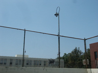 Enlarge photo 78