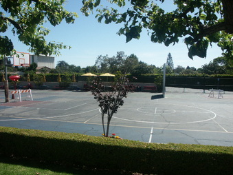 Enlarge photo 3