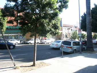 Enlarge photo 56