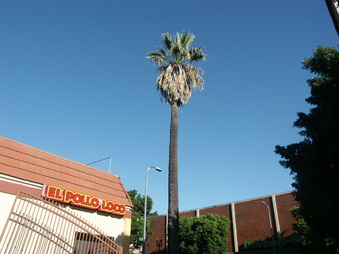 Enlarge photo 62