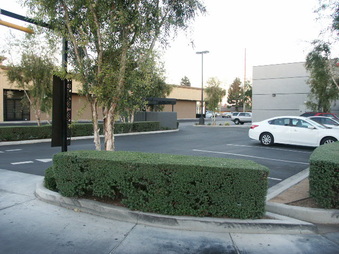 Enlarge photo 36