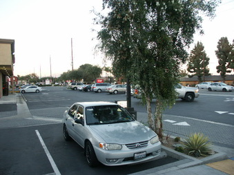 Enlarge photo 45