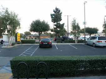 Enlarge photo 46