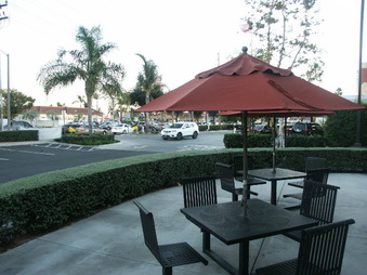 Enlarge photo 47