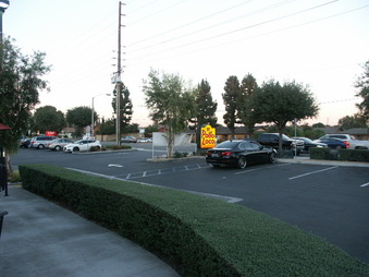 Enlarge photo 49