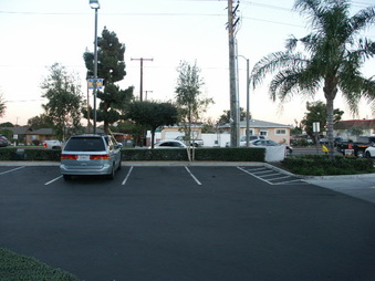 Enlarge photo 50