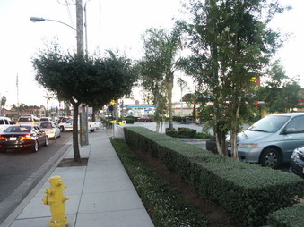 Enlarge photo 5