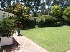 Enlarge photo 36
