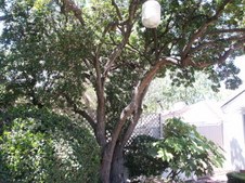 Enlarge photo 39