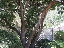 Enlarge photo 40