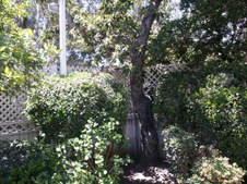 Enlarge photo 42