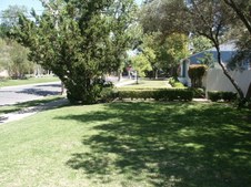 Enlarge photo 55