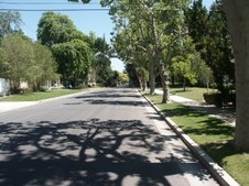 Enlarge photo 59