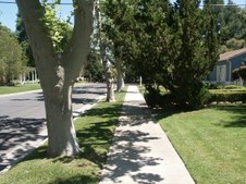Enlarge photo 62