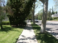 Enlarge photo 61