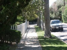 Enlarge photo 63