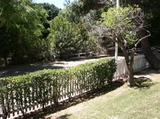 Enlarge photo 58