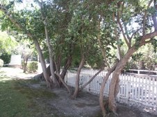 Enlarge photo 67