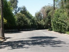 Enlarge photo 80