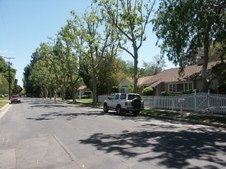 Enlarge photo 81