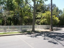 Enlarge photo 83