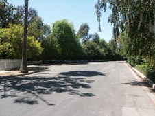 Enlarge photo 82
