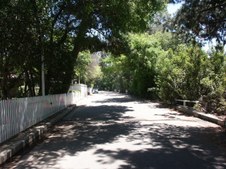 Enlarge photo 85