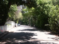 Enlarge photo 89