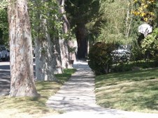 Enlarge photo 92