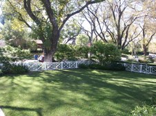 Enlarge photo 57