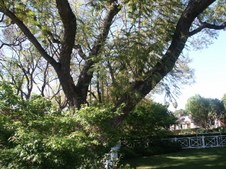 Enlarge photo 59