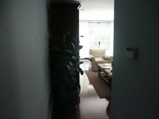 Enlarge photo 40