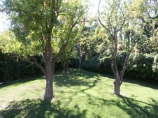 Enlarge photo 56