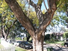 Enlarge photo 72