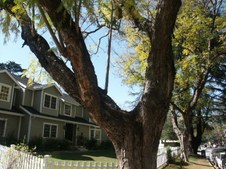 Enlarge photo 71