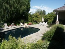 Enlarge photo 61