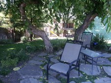 Enlarge photo 64