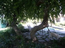 Enlarge photo 63