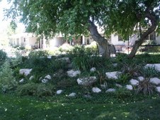 Enlarge photo 72