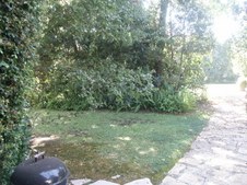 Enlarge photo 102