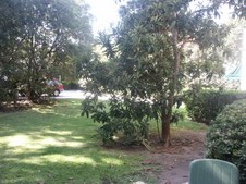 Enlarge photo 104