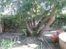 Enlarge photo 51