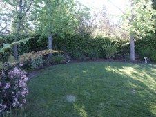 Enlarge photo 56