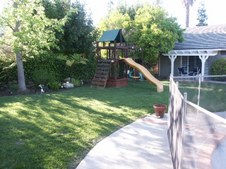 Enlarge photo 58