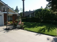 Enlarge photo 62