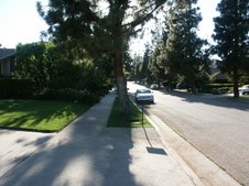 Enlarge photo 68