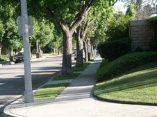 Enlarge photo 79