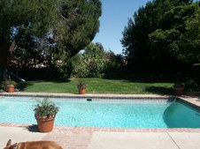 Enlarge photo 63