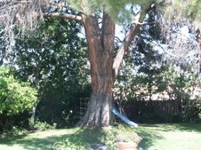 Enlarge photo 67