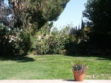 Enlarge photo 66